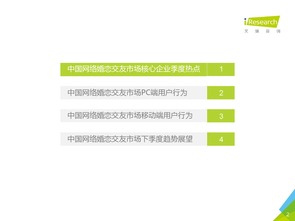 2016年第二季度中國網絡婚戀行業(yè)監(jiān)測報告 婚戀信息咨詢市場分析與展望